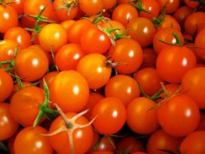 pomodoro-pachino_ng8