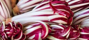 radicchio-trevigiano-home-810x370